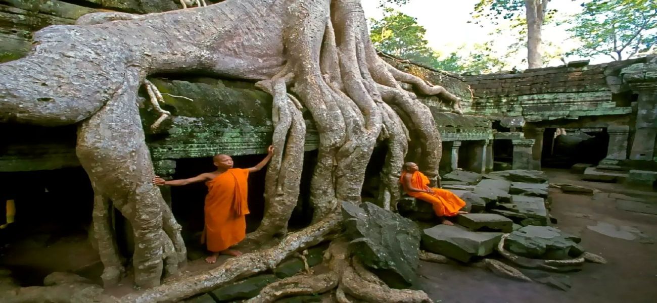 Explore Ta Prohm Temple with us! 